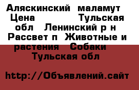 Аляскинский  маламут › Цена ­ 10 000 - Тульская обл., Ленинский р-н, Рассвет п. Животные и растения » Собаки   . Тульская обл.